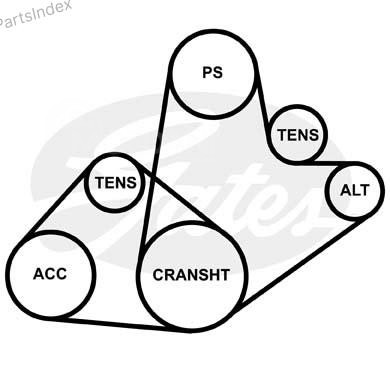 Ремень приводной Gates 5PK1243 Тбилиси - изображение 3