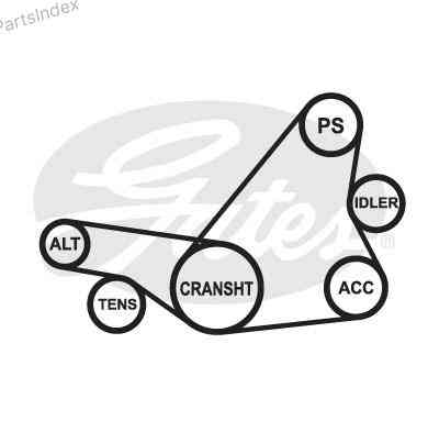 ძრავის გარე ღვედი  Gates 5PK1113 თბილისი