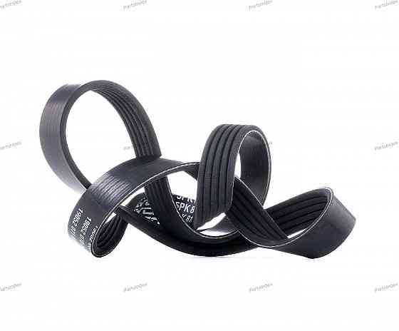 ძრავის გარე ღვედი  Dayco 5PK810 თბილისი