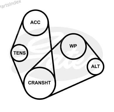 ძრავის გარე ღვედი  Gates 4PK788 თბილისი - photo 5