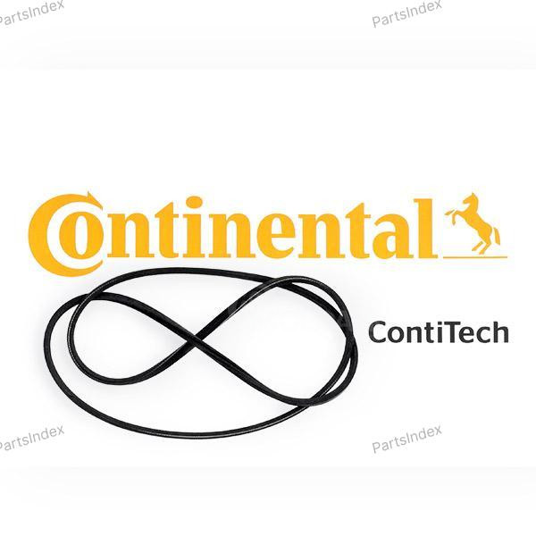 Ремень приводной Contitech 2PJ800 Тбилиси - изображение 3