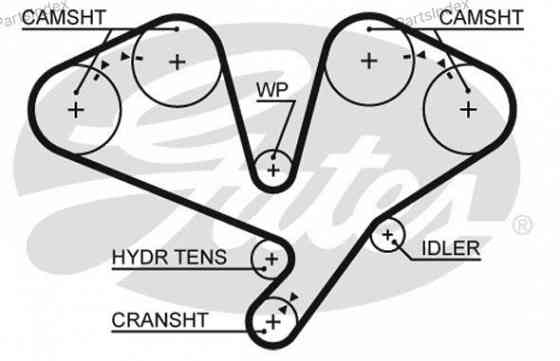 Ремень ГРМ - газораспределительного механизма Gates 5659XS Тбилиси