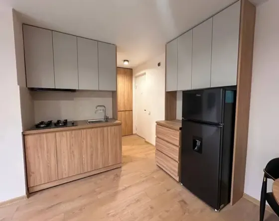 Apartments For Sale two-room 33м² 1/8 floor Tbilisi