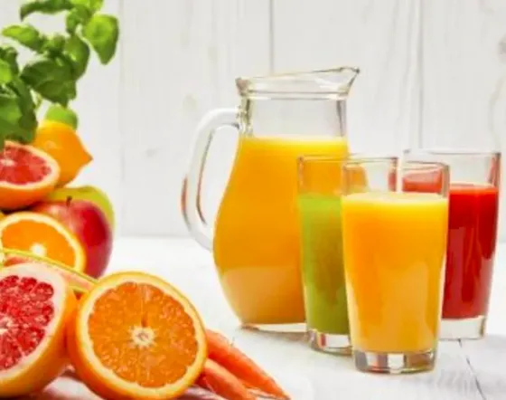 Соковыжималка для цитрусовых Santos Тбилиси