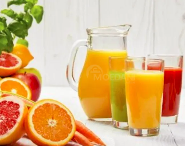 Соковыжималка для цитрусовых Santos Тбилиси - изображение 2