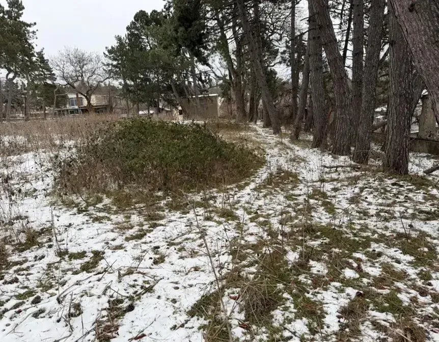 იყიდება მიწის ნაკვეთი 4383м² თბილისი - photo 5