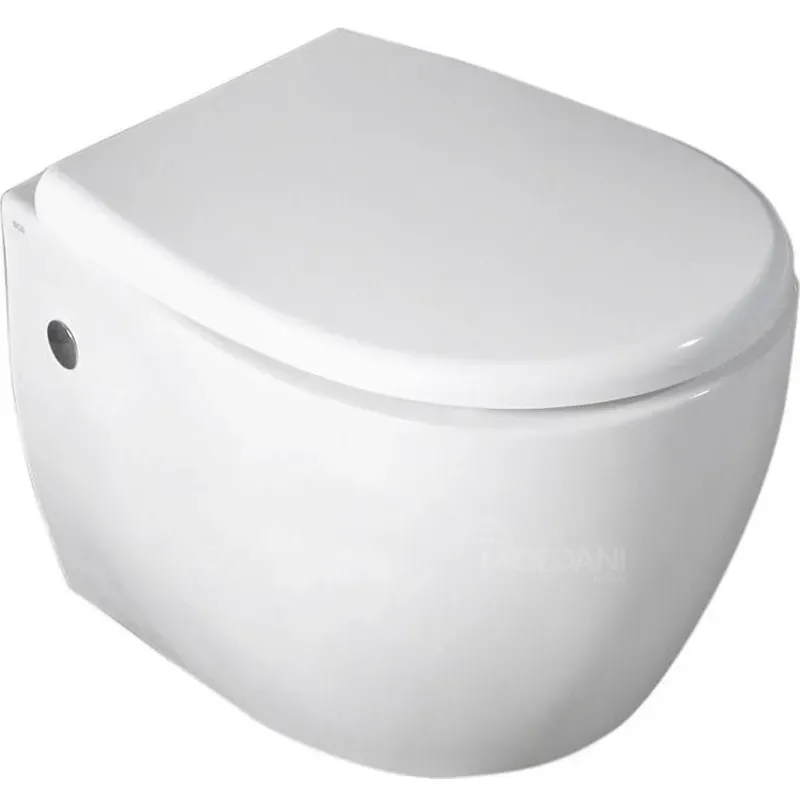 Wall-hung toilet Isvea Sentimenti Tbilisi - photo 2